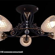 Reluce 65683-6.3-05 FGD BK светильник потолочный фото