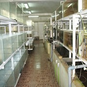 Товары для аквариума фото