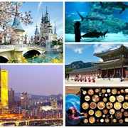 Организация информационных туров для туристических агентств в Юж. Корею фото