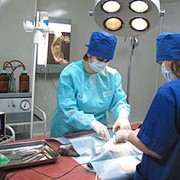 Хирургия ветерирарная фотография