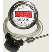Термометр (термопреобразователь) электронный ТЭТ фото