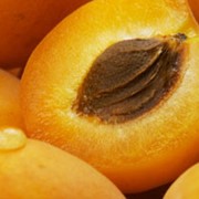 Цукаты абрикосовые