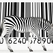 Регистрация штрих кодов в Украине фото