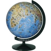 Глобус физический с животными 32 см - лакированный без подсветки на пластиковой подставке фото
