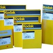 Рентгеновская пленка для всех видов рентгенологии зеленочувствительная KODAK MXG 18х24 (4,32 м²) фото