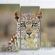 Модульна картина на полотні Леопард код КМ100130-092 фото