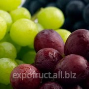 Виноград в Молдове фотография