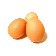 Яйцо домашней птицы фото