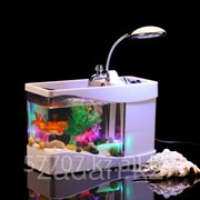Настольный аквариум с подсветкой фотография