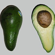Авокадо плод