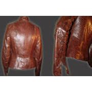 Куртки женские из натуральной кожи фото