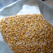 Продам зерно кукурузное фасованное. Производитель