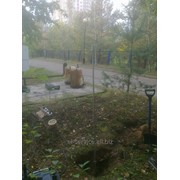 Монтаж контура глубинного заземления фото