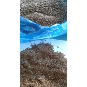 Семена льна производитель Казахстан экспорт фото