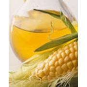 Кукурузный жмых, масло кукурузное, зародыш кукурузы. фото