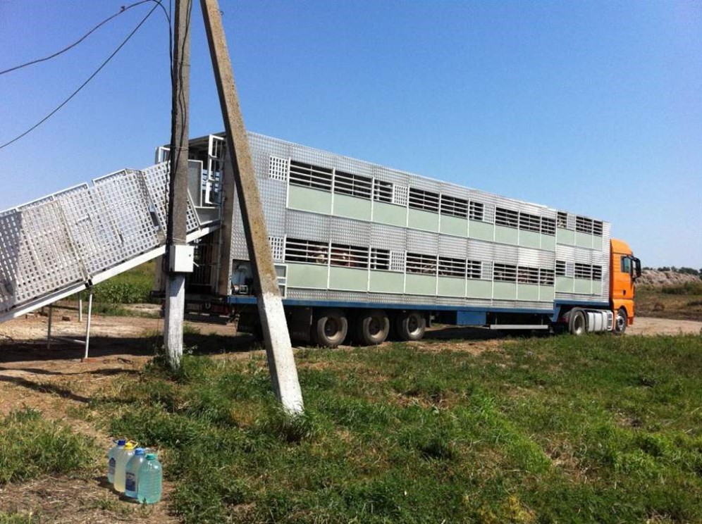 Волгоград продать машину
