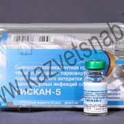 Гискан 5- сыворотка поливалентноя против чумы плотоядных, парвовирусной и коронавирусной инфекции и аденовироза собак фотография