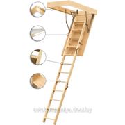 Чердачные лестницы Radex(Польша) - Модель TERMO