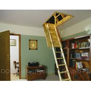 Чердачные лестницы фото