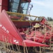 Жатки для уборки подсолнечника марки НАШ-873, 1273 фото
