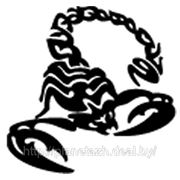 03106 Наклейка (вырезанная) «Скорпион» рисунок №3, наружная, (цвет асорти), 10х10 см