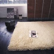 Химическая чистка ковровых покрытий фотография