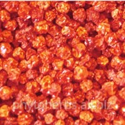 Калина - ягоды сушеные фото