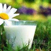 Молоко пастеризованное Стеклянная молочная бутылка 0,75 л