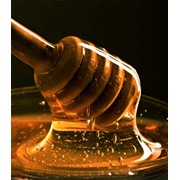 Мед горчичный фото