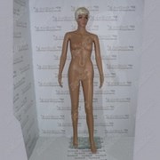 Манекен женский пластиковый 179см, 89-64-92см, F-1/FW1 фотография