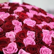 Доставка цветов, 101 роза фотография