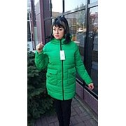 Зимняя женская куртка Лигалайз зеленая