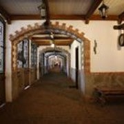 Аренда денников для лошадей фото