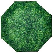 Зонт складной Evergreen фотография