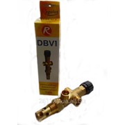 Двухходовой защитный клапан Regulus DBV 1 3/4 фото