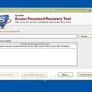 SysTools Access Password Recovery (SysTools Software) фотография