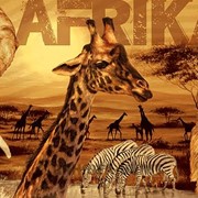 Туры в Африку
