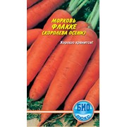 Семена Морковь Флакке (Королева осени)(2гр) фото