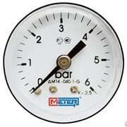 Термоманометр Метер ДМ02-ИТ фотография