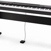 Пианино цифровое Casio CDP-100H7 фото