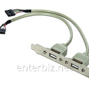 Адаптер 2xAF/10P-2xUSB 2.0 Gembird (CC-USB-USB), код 47824