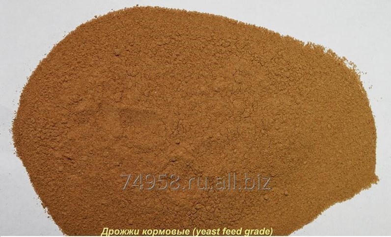 Паприн дрожжи кормовые. Дрожжи гидролизные кормовые. Кормовые дрожжи. Кормовые белковые дрожжи. Кормовые дрожжи для кур.