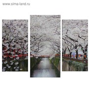 Картина модульная на подрамнике “Яблони в цвету“ 2шт-25х50, 1шт-30х60 ;60*80 см фото