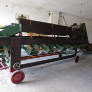 Сортировка картофеля и лука фото