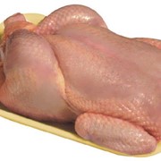 Мясо птицы охлажденное фотография