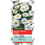 Нивяник Балет, ц/п Семко фото