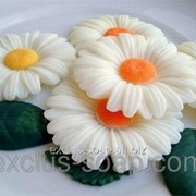 Ромашка 3D фото