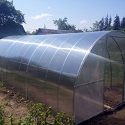 Теплица из поликарбоната 3х8 м. Агро-Стандрат. Доставка по РБ. Большой выбор. Производство: РФ. фото