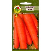 Морковь “Ленка“ 1 г. фото