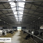 Коровники под ключ по всей Украине фото